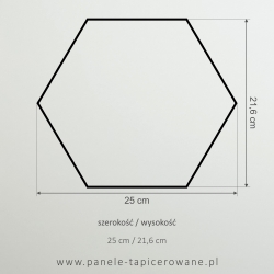 Panel hexagon